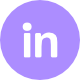 linkedin icon