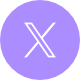 twitter icon